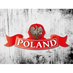 Naklejka orzeł z wstęgą Poland (ADR) tablica