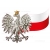 Naklejka orzeł z polską flagą odblaskowa patriotyczna