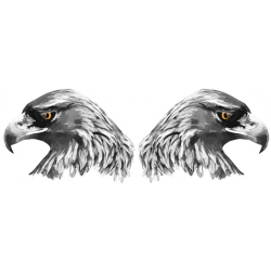 Naklejka orzeł głowa lewa prawa zestaw naklejkek