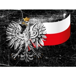 Naklejka orzeł z flagą Polski na tablicę ADR