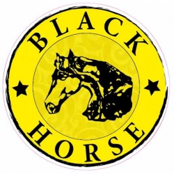 Naklejka Black Horse na samochodzie
