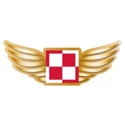 naklejka, szachownica, lotnicza, odznaka, złote skrzydła, stylizowana, złota, pilot,
