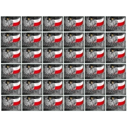 Naklejka orzeł flaga Polski zestaw naklejek