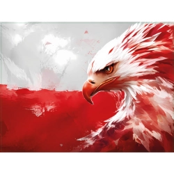 naklejka, adr, orzeł, flaga, polska, grafika, tablica, biało-czerwone, unikalny, tuningowy, wzór, kierowcy, ciężarówki