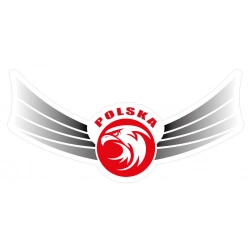 Naklejka orzeł na kask motocykl samochód skrzydła grafika