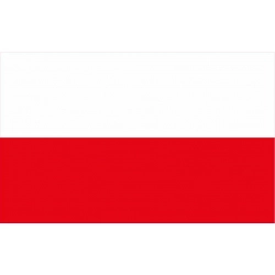 Naklejka flaga Polski na samochód