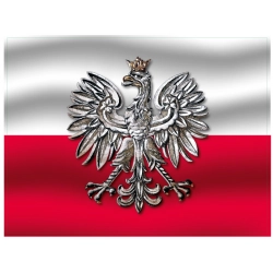 Naklejka orzeł flaga polski ADR tablica naklejki TIR