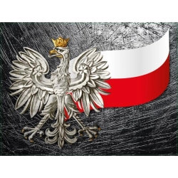 naklejki, tablica adr, samochody ciężarowe, materiały niebezpieczne,