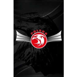 Naklejka orzeł grafika (ADR) tablica