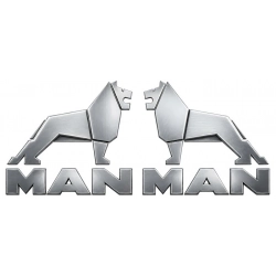 naklejki, logo, lwa, kabinę, samochodu, ciężarowego, man, tgx, naklejki z logo lwa, naklejki na kabinę,