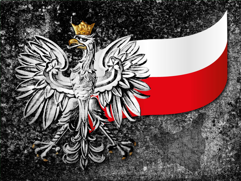 Naklejka orzeł z flagą Polski na tablicę ADR textura