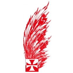 Naklejka Volvo FH 16 kabina skrzydła husaria
