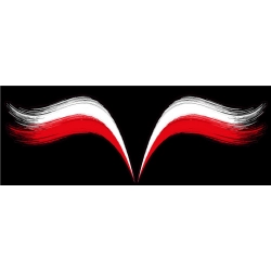Naklejka flaga Polski grafika