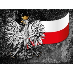 Naklejka orzeł z flagą Polski (ADR) tablica