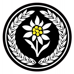 Naklejka 1 Batalion Czołgów 21 Brygada