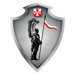 Zmień wygląd swojego auta dzięki naklejkom z polskim husarzem!