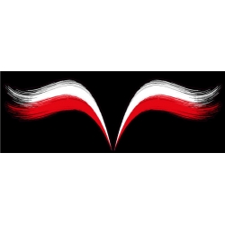 Naklejka flaga Polski grafika