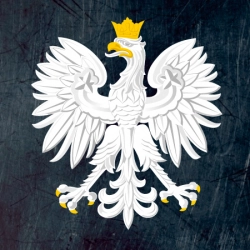 Naklejka orzeł odblaskowa kask