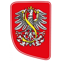 Naklejka Orzeł SCANIA R kabina oklejanie zestaw naklejek