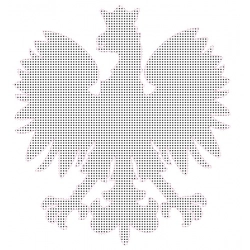 Naklejka orzeł grafika na samochód