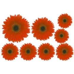 Naklejki na samochód kwiaty folk gerbera