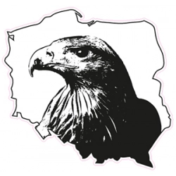 Naklejka patriotyczna orzeł