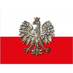 Naklejka orzeł flaga polski (ADR) tablica