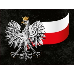 Naklejka orzeł z flagą Polski (ADR) tablica