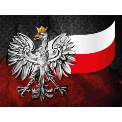 Naklejka orzeł z flagą Polski (ADR) tablica