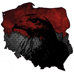 Naklejka patriotyczna orzeł na samochód