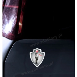 Ozdób swoje auto naklejkami z husarzem!