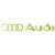 Logo Audi w odcieniu zieleni, z klasycznymi czterema pierścieniami wkomponowanymi w design.